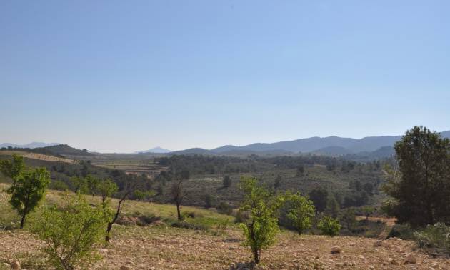 Revente - Land - La Zarza