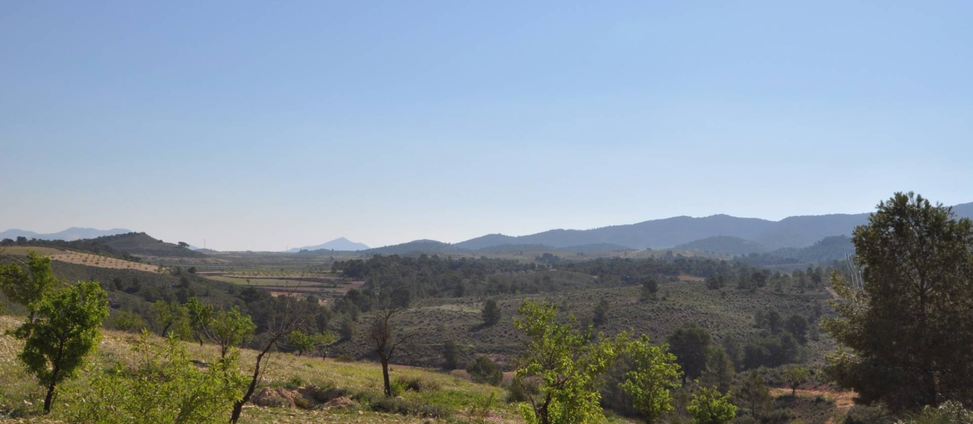 Revente - Land - La Zarza