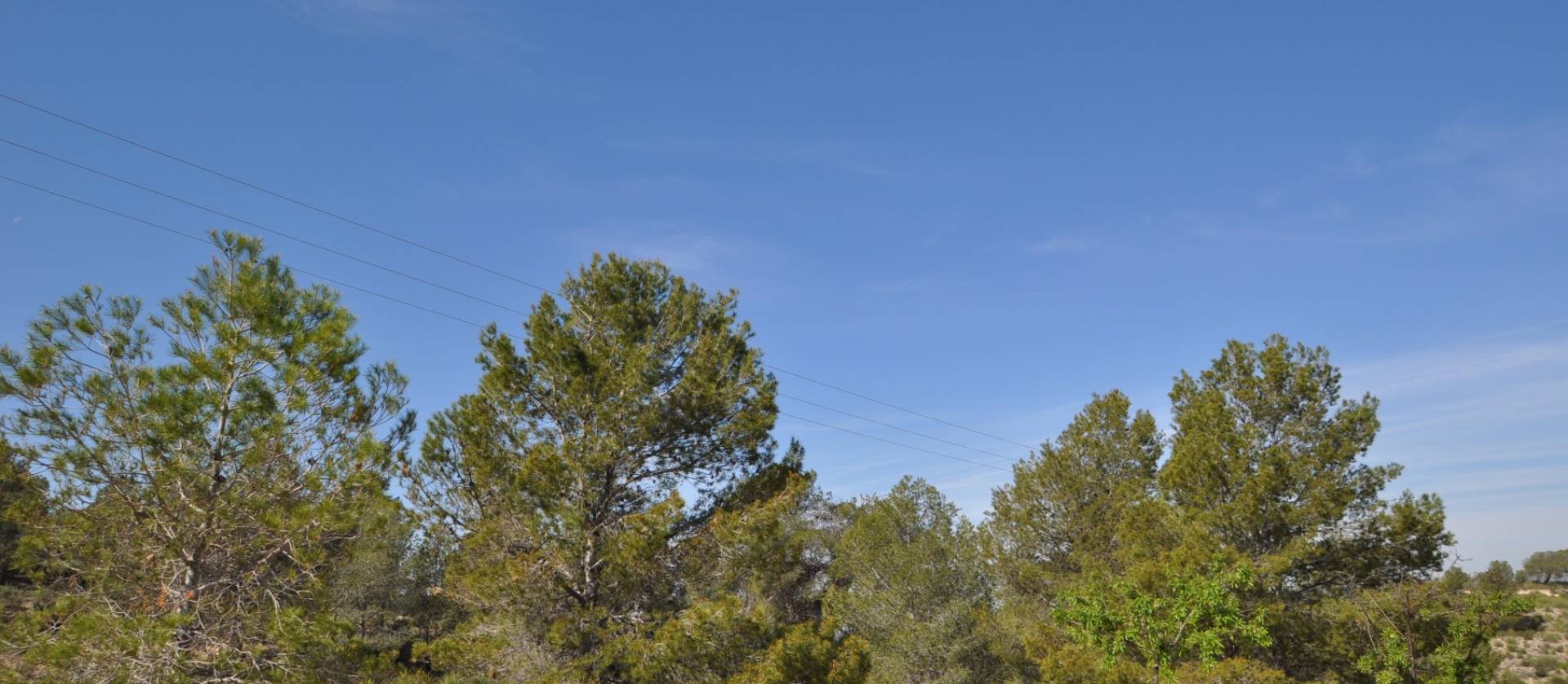 Revente - Land - La Zarza