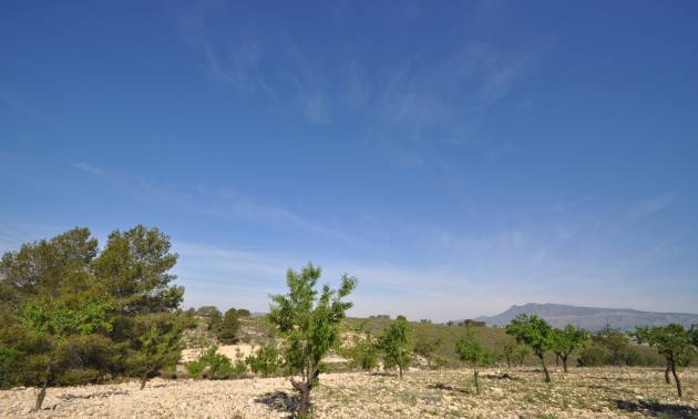 Revente - Land - La Zarza