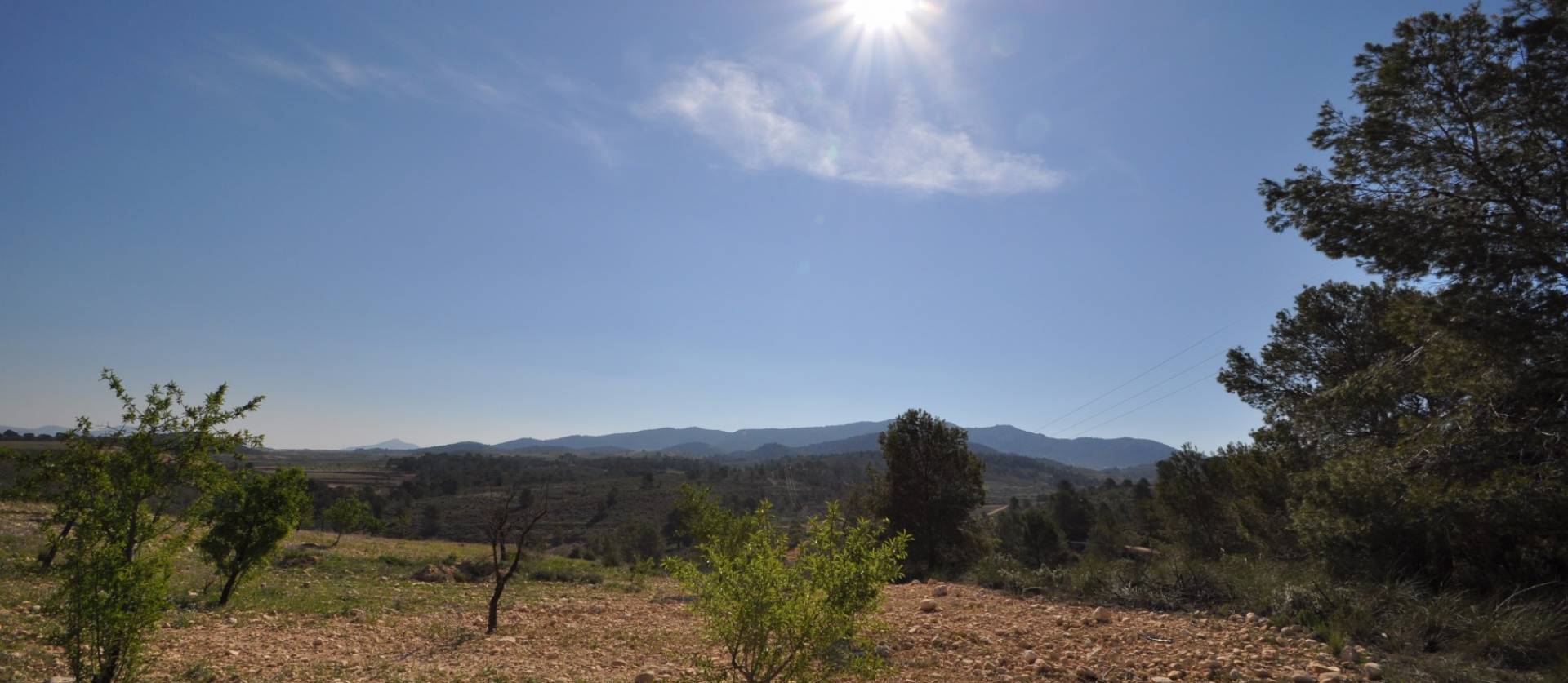 Revente - Land - La Zarza