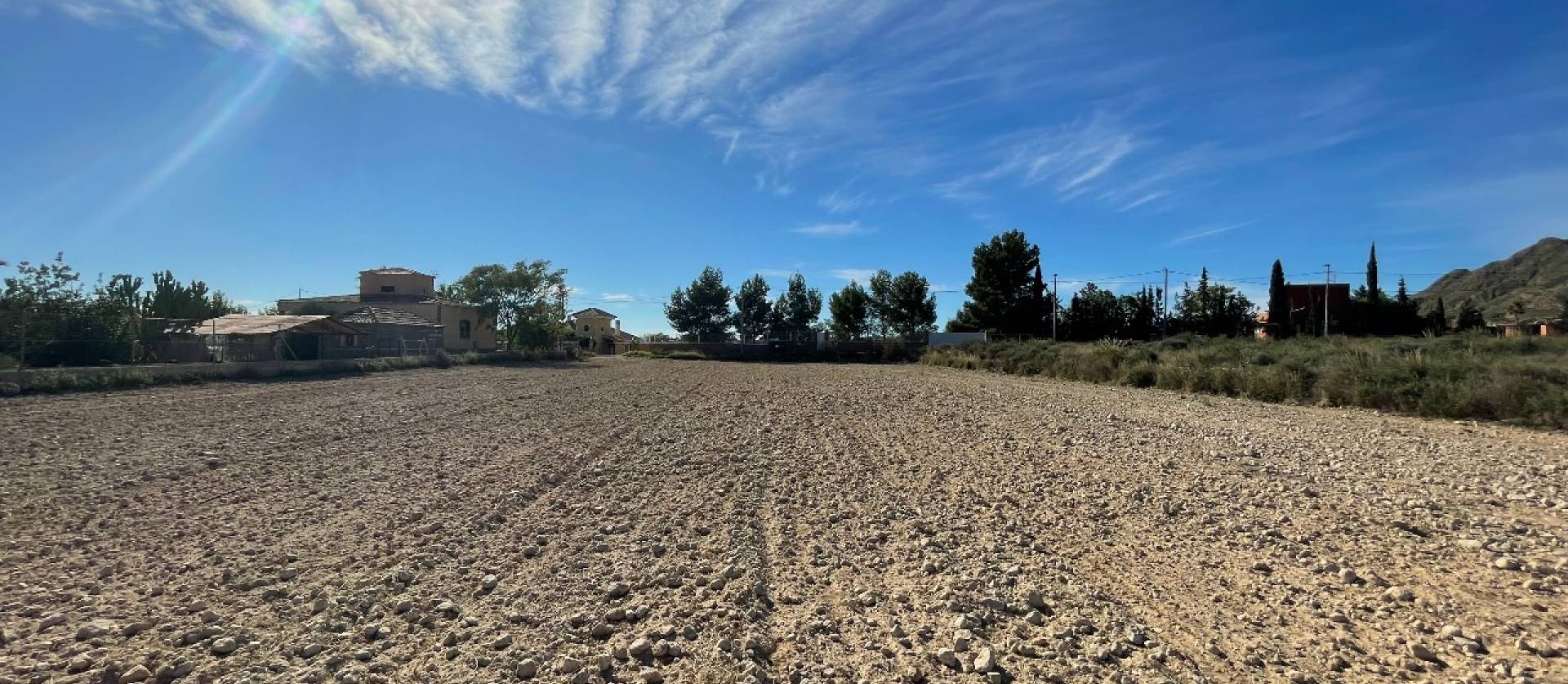 Sale - Land - Abanilla