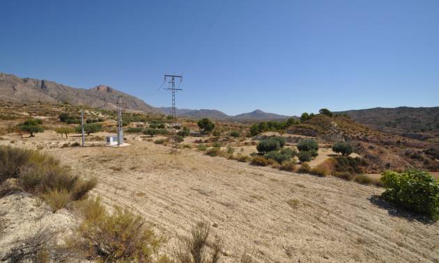 Sale - Land - Macisvenda