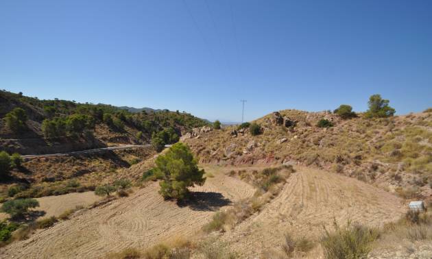 Sale - Land - Macisvenda