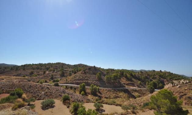 Sale - Land - Macisvenda