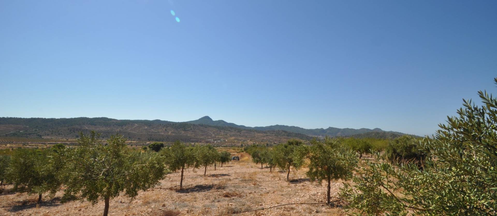 Venta - Land - Macisvenda