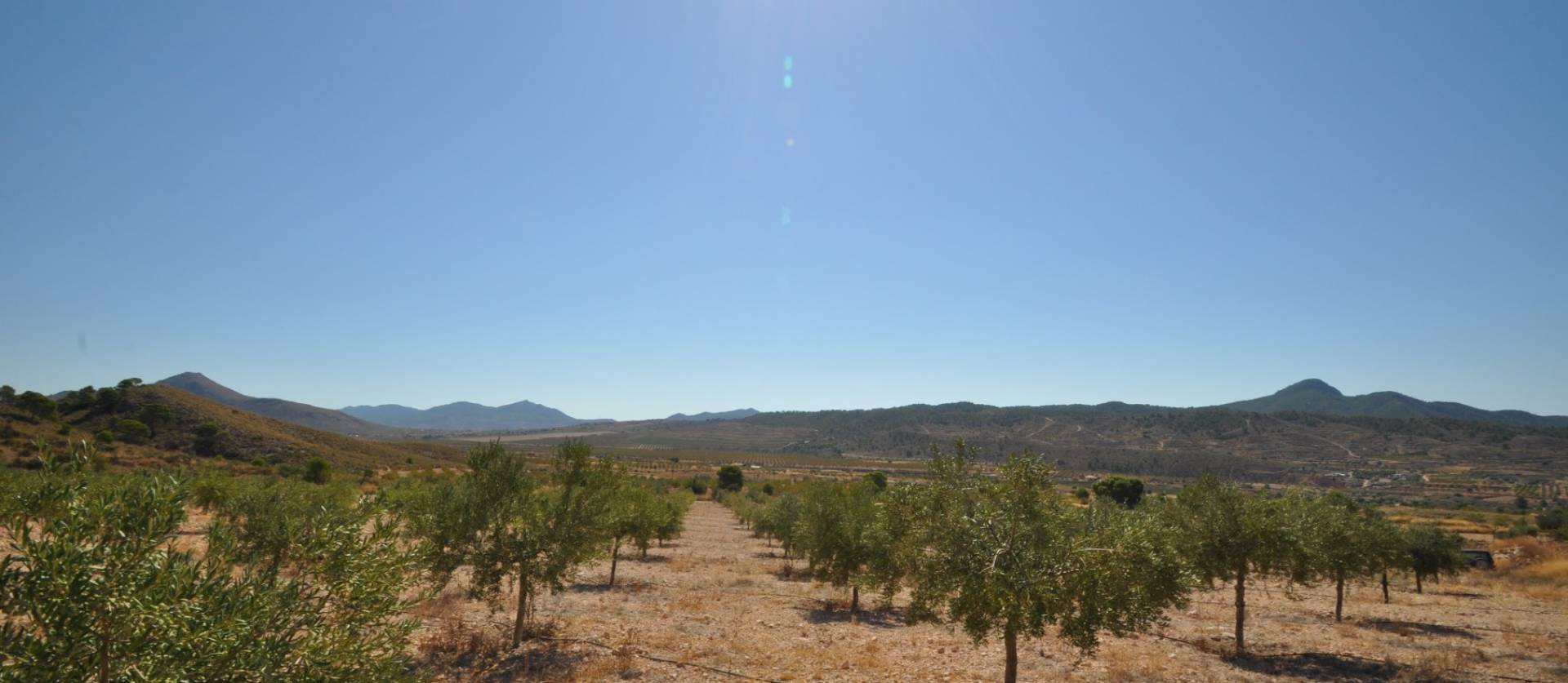 Venta - Land - Macisvenda