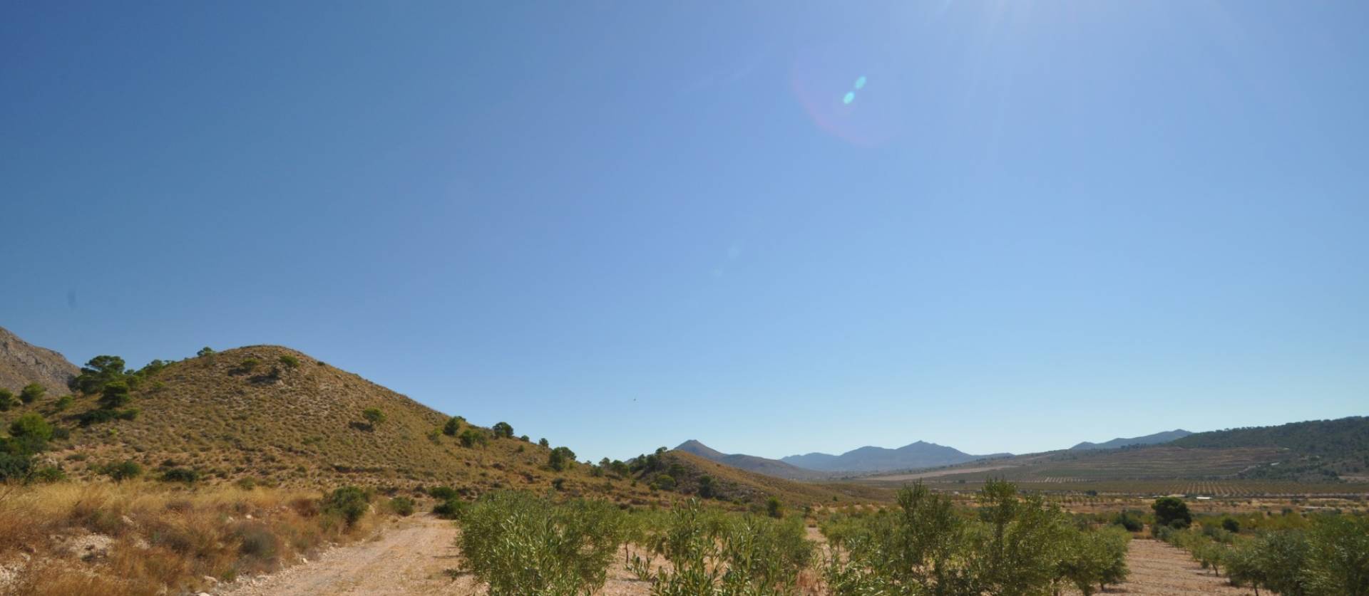 Venta - Land - Macisvenda