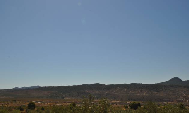 Venta - Land - Macisvenda