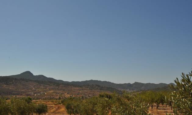 Venta - Land - Macisvenda