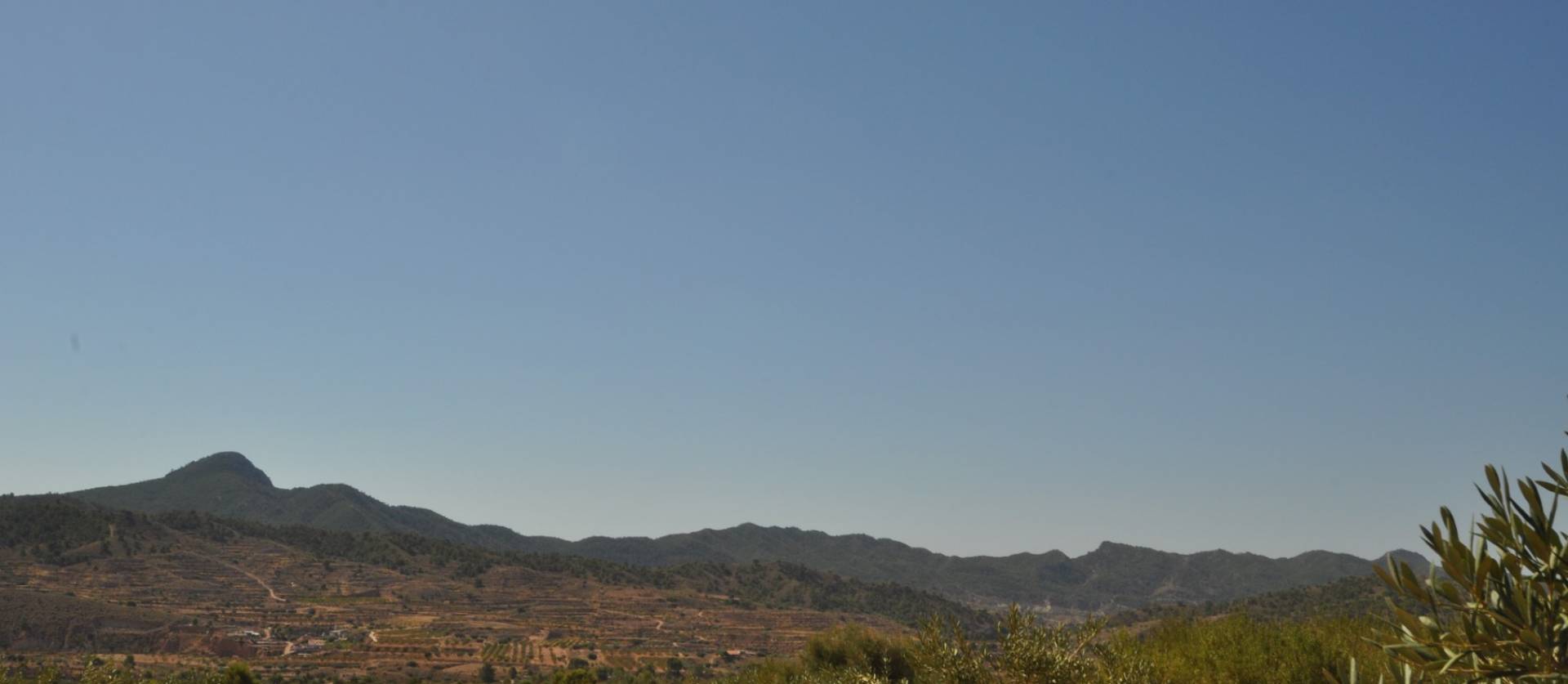 Venta - Land - Macisvenda