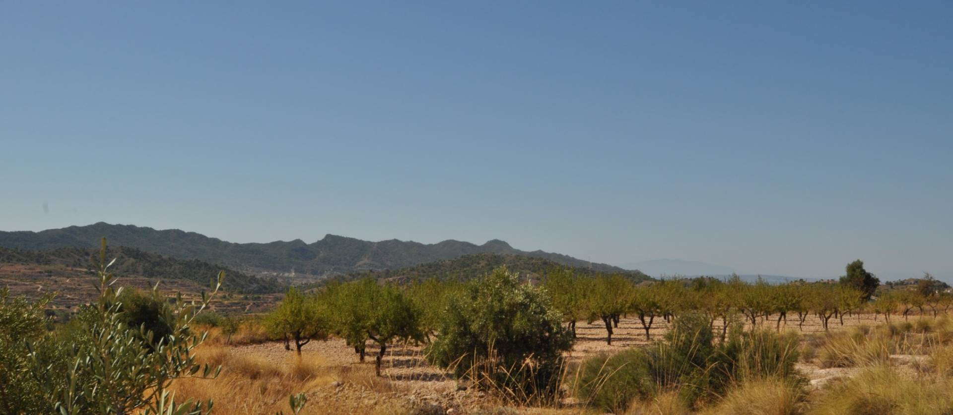 Venta - Land - Macisvenda