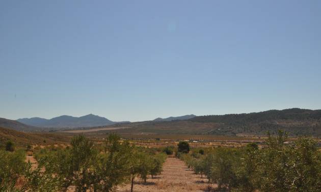 Venta - Land - Macisvenda