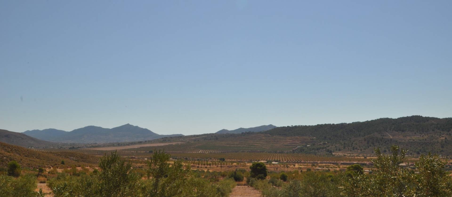 Venta - Land - Macisvenda