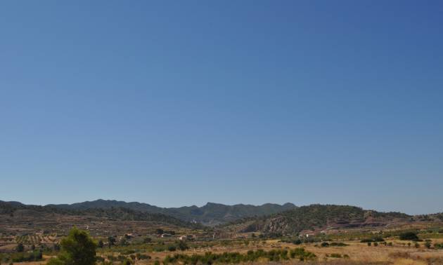 Revente - Land - Macisvenda