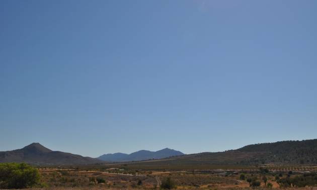 Revente - Land - Macisvenda