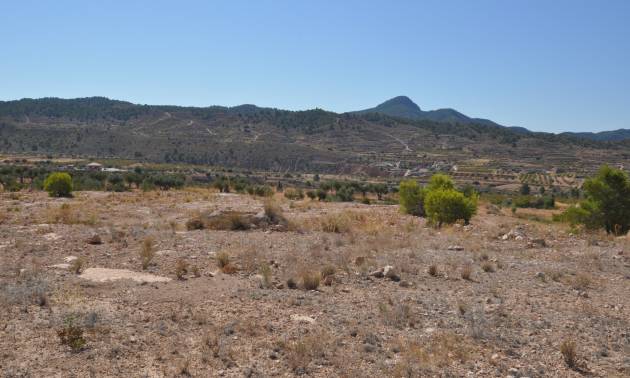 Revente - Land - Macisvenda