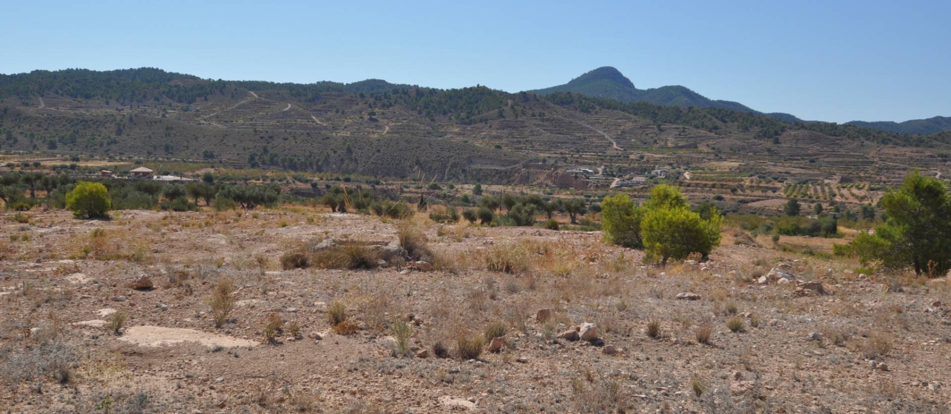 Revente - Land - Macisvenda