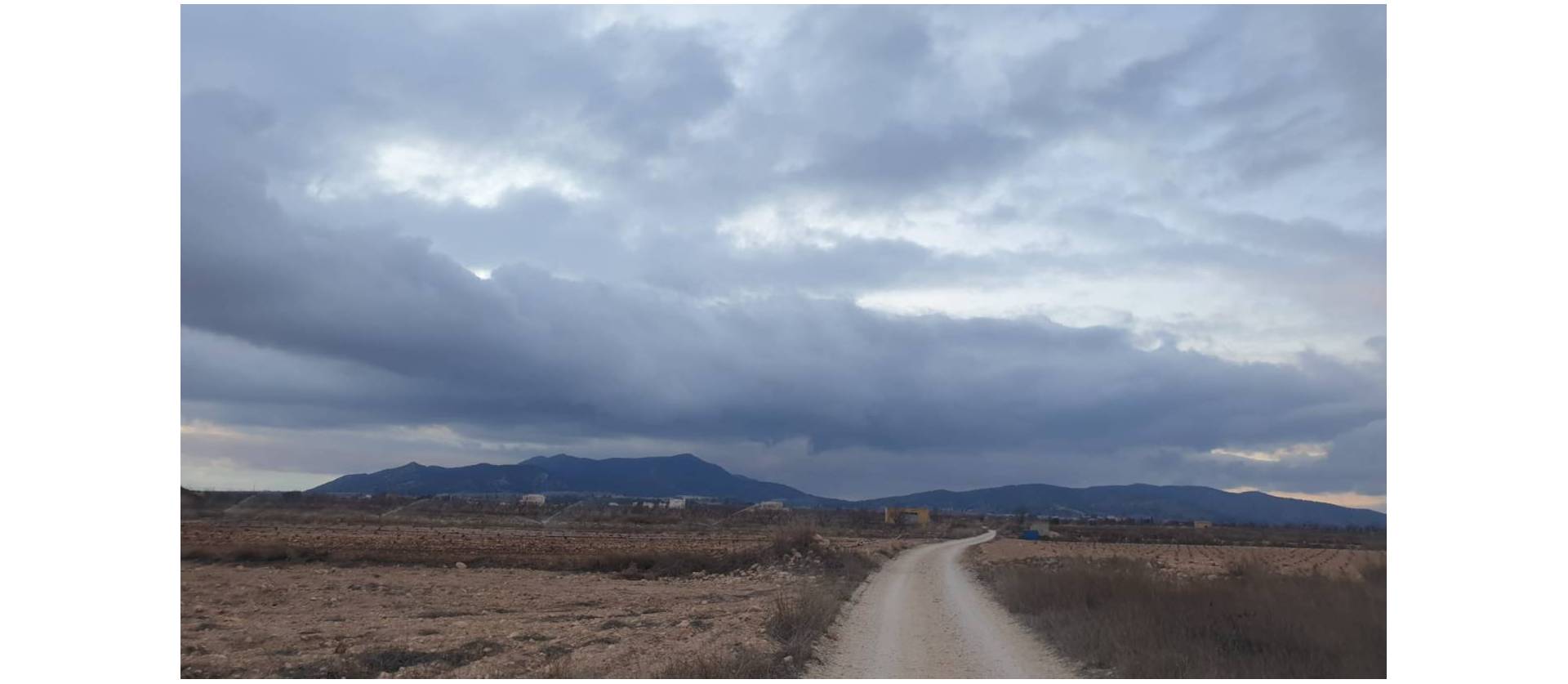 Venta - Land - Pinoso