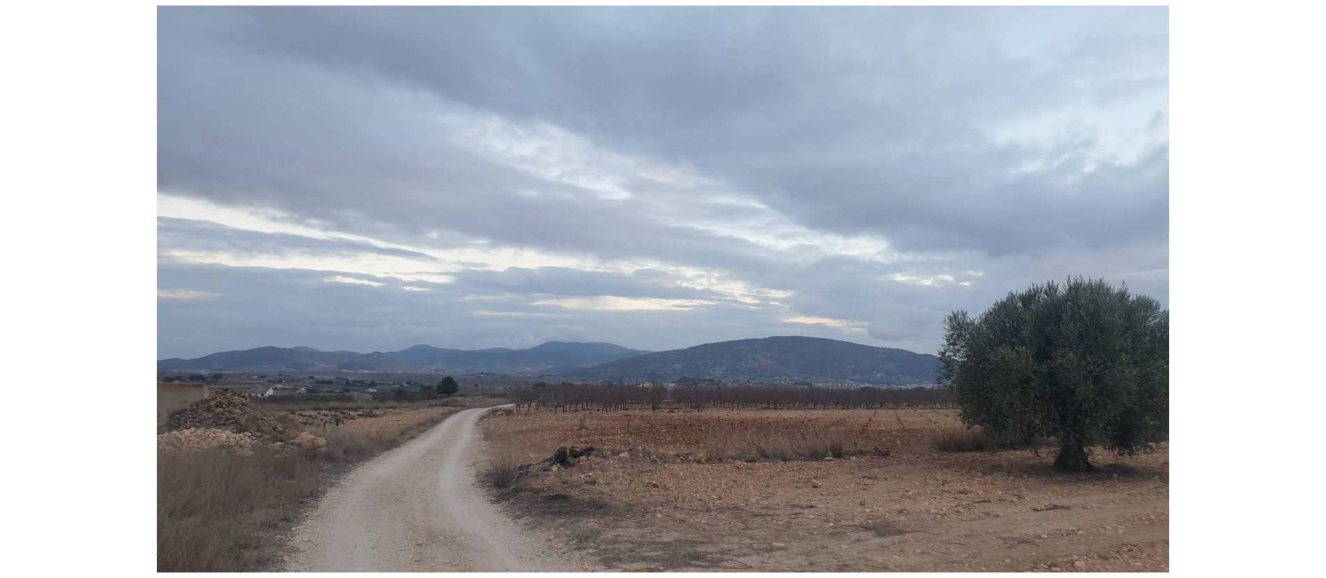 Venta - Land - Pinoso