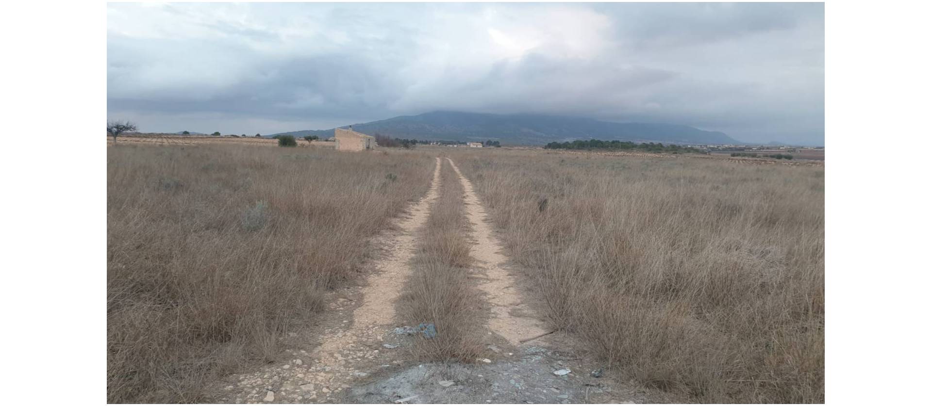 Venta - Land - Pinoso