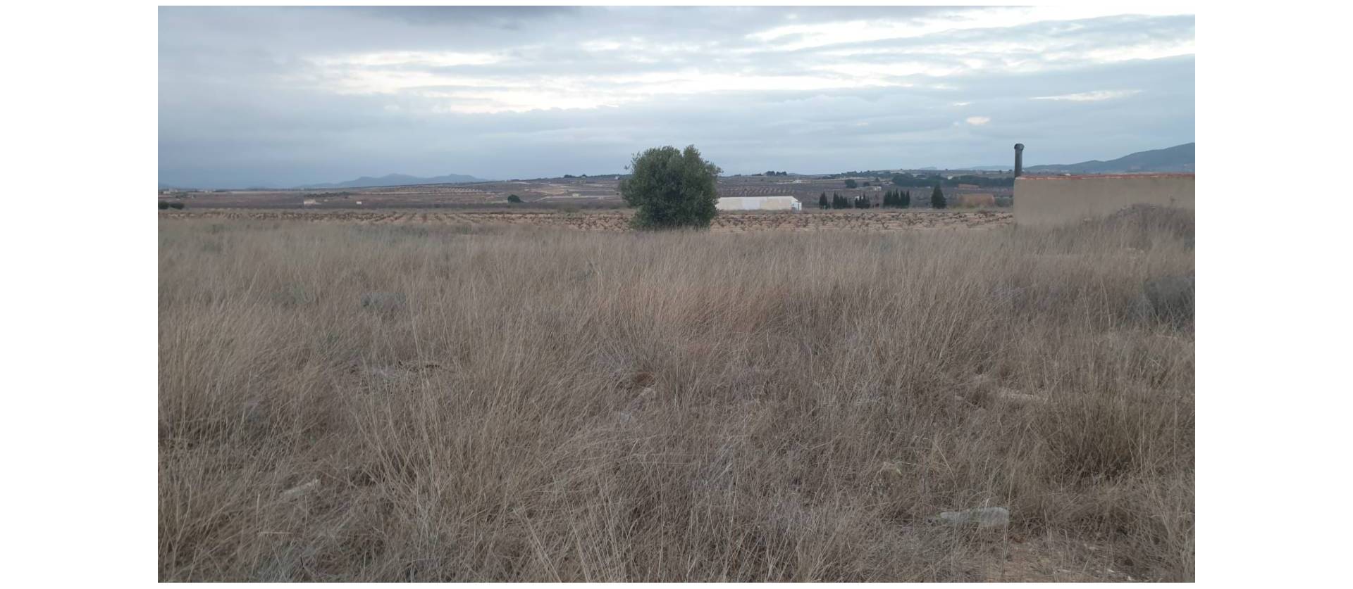 Venta - Land - Pinoso