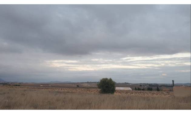 Venta - Land - Pinoso