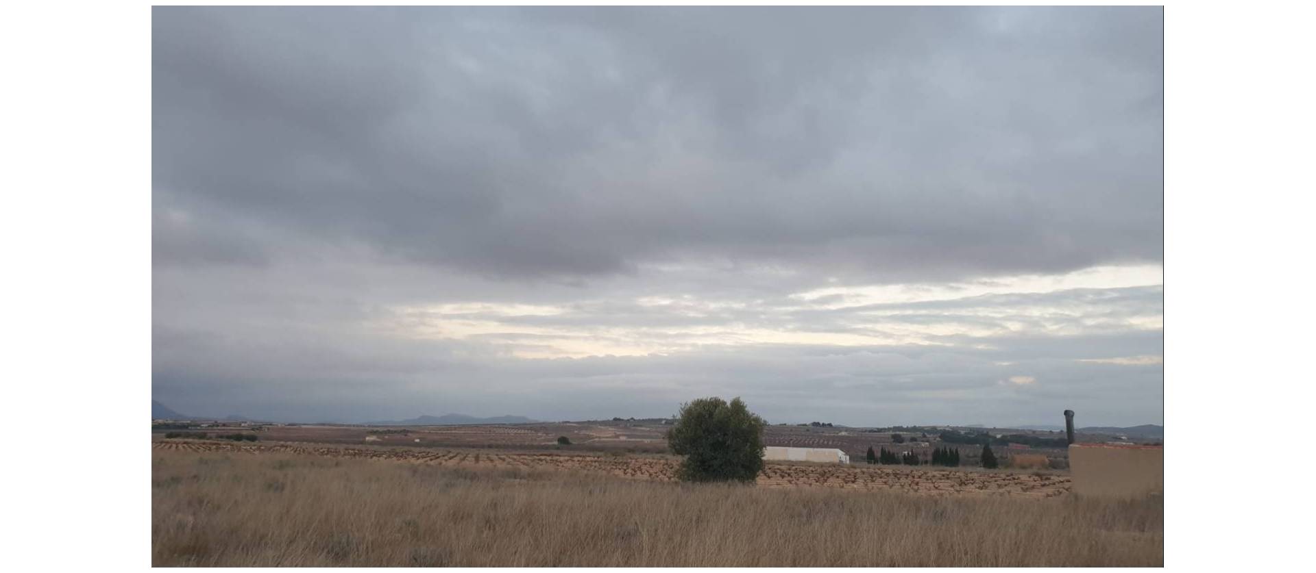 Venta - Land - Pinoso