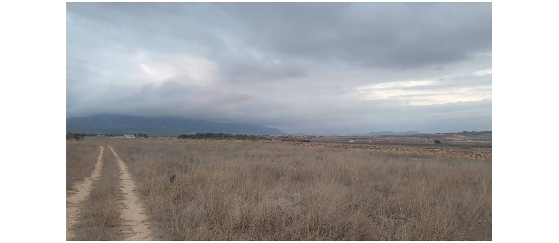 Venta - Land - Pinoso