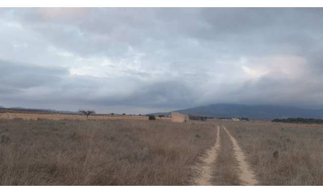 Venta - Land - Pinoso