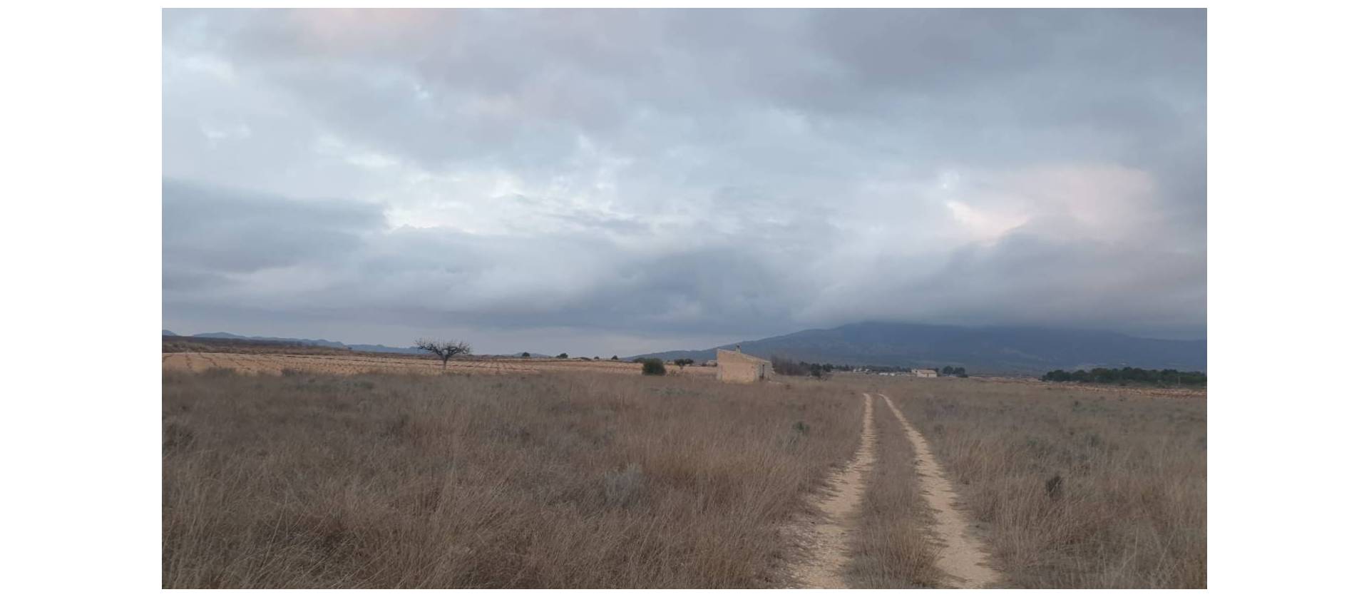 Venta - Land - Pinoso