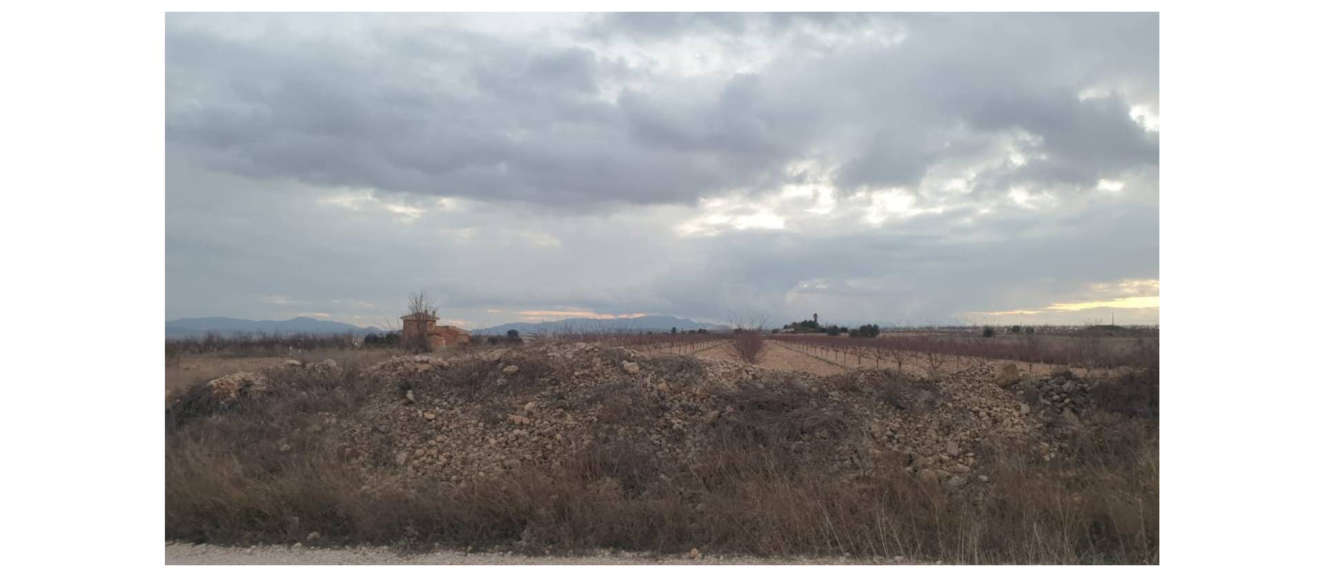 Sale - Land - Pinoso