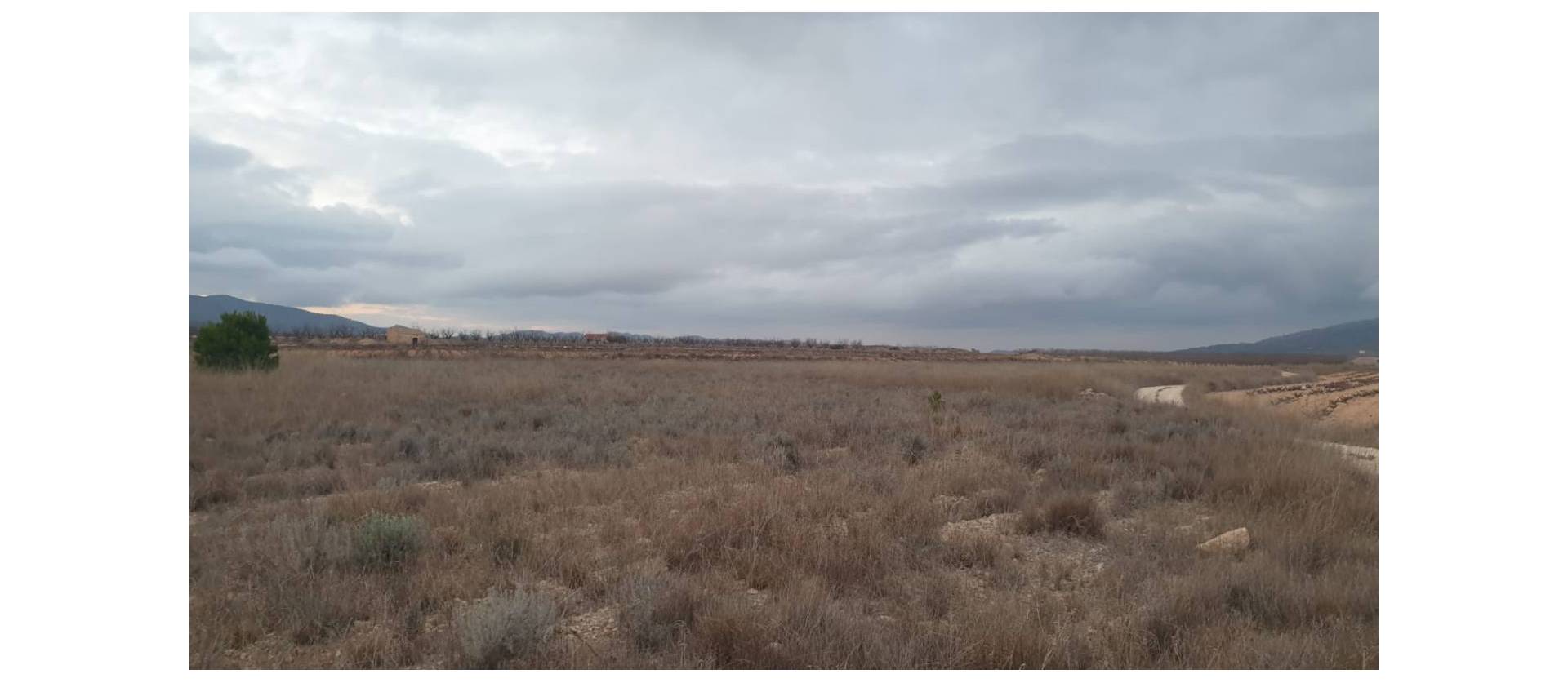 Sale - Land - Pinoso