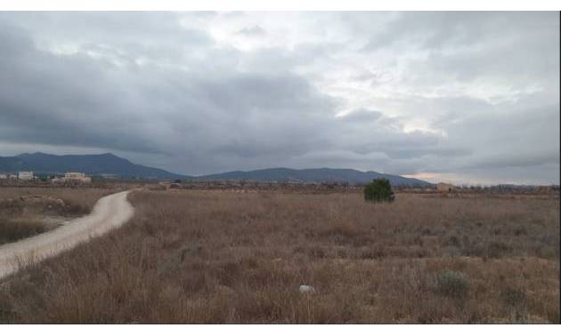 Sale - Land - Pinoso