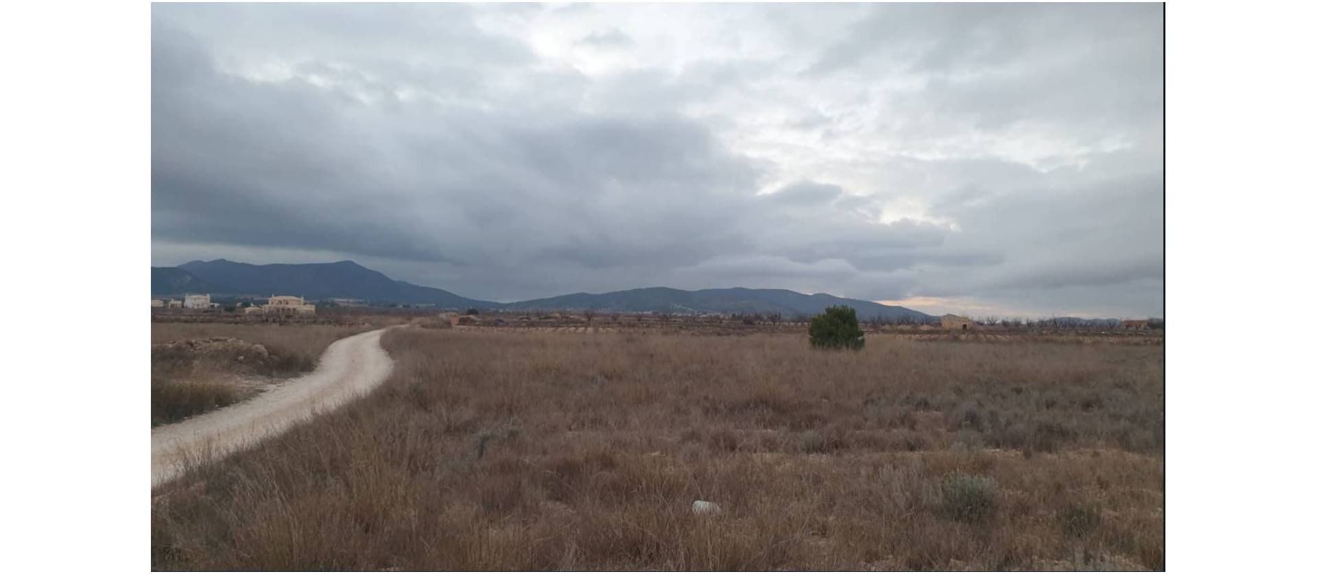 Sale - Land - Pinoso