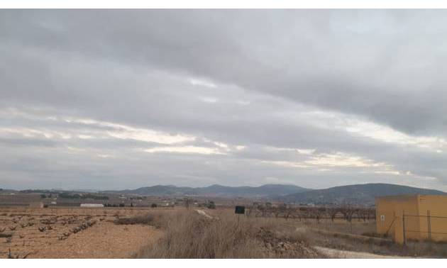 Sale - Land - Pinoso