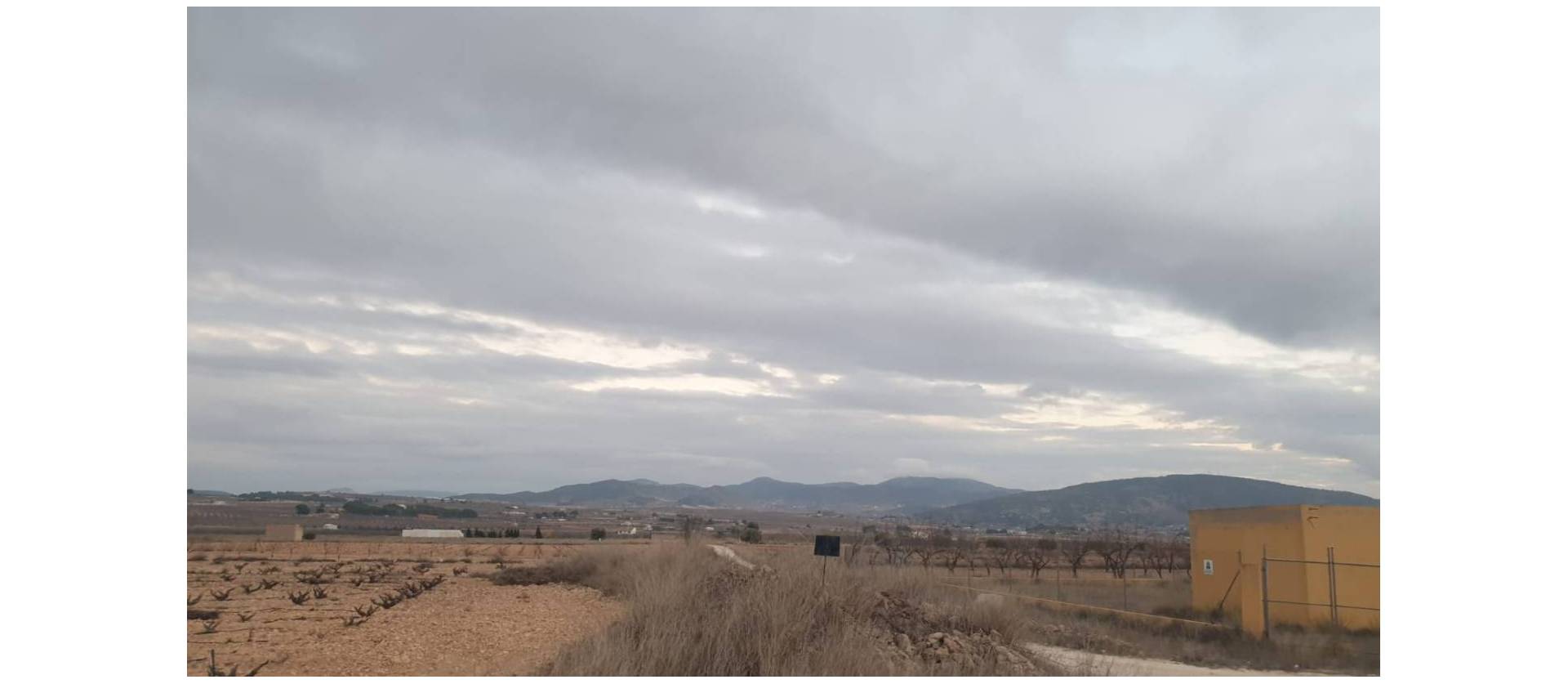 Sale - Land - Pinoso