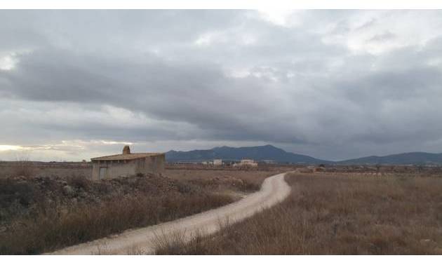 Sale - Land - Pinoso