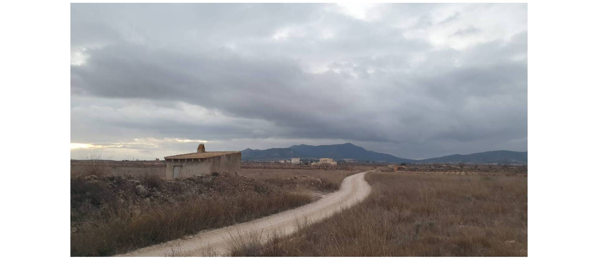 Sale - Land - Pinoso