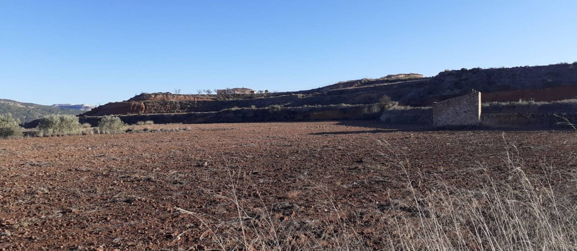 Sale - Land - Pinoso