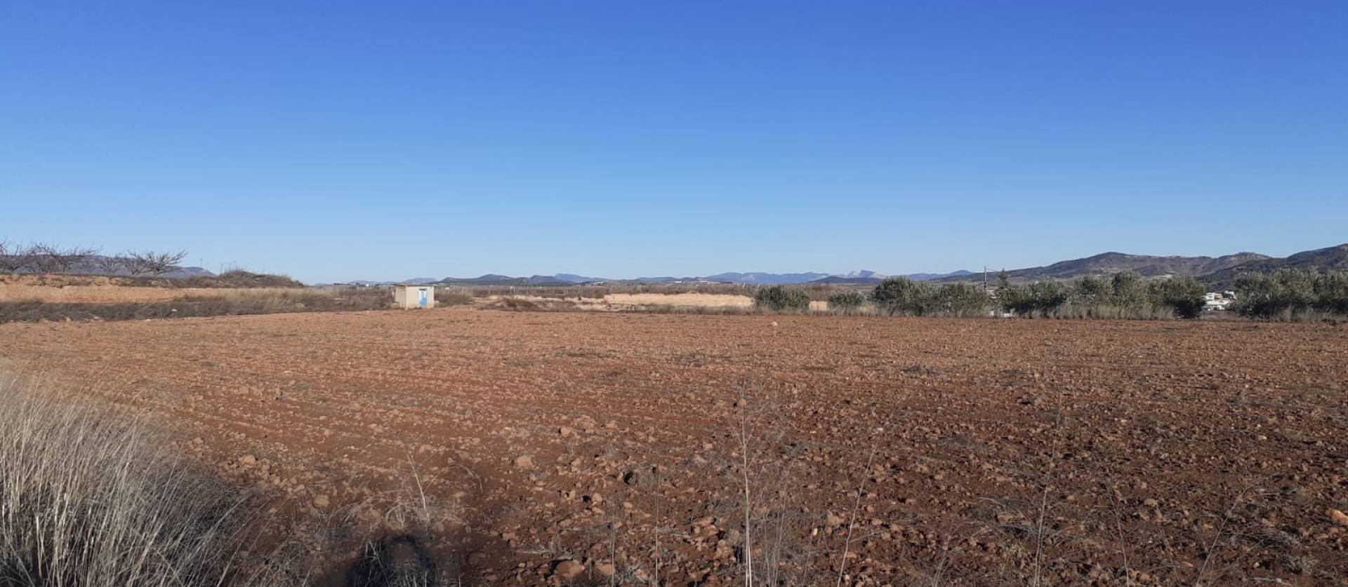 Sale - Land - Pinoso