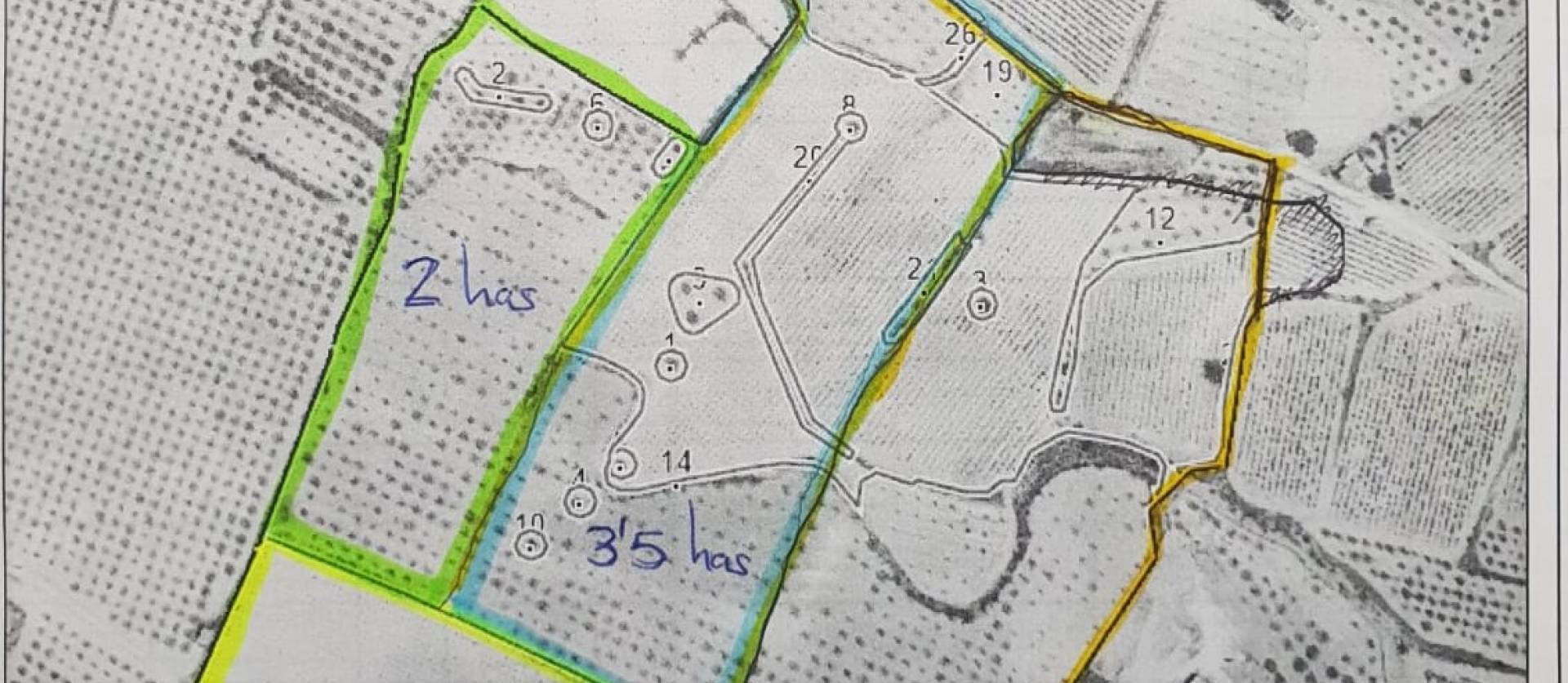 Sale - Land - Pinoso