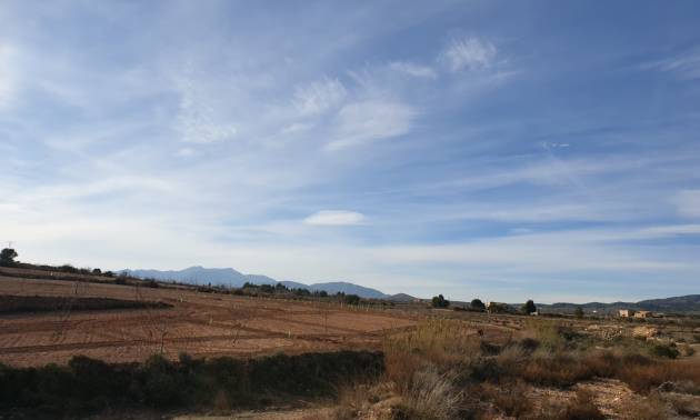 Revente - Land - Pinoso