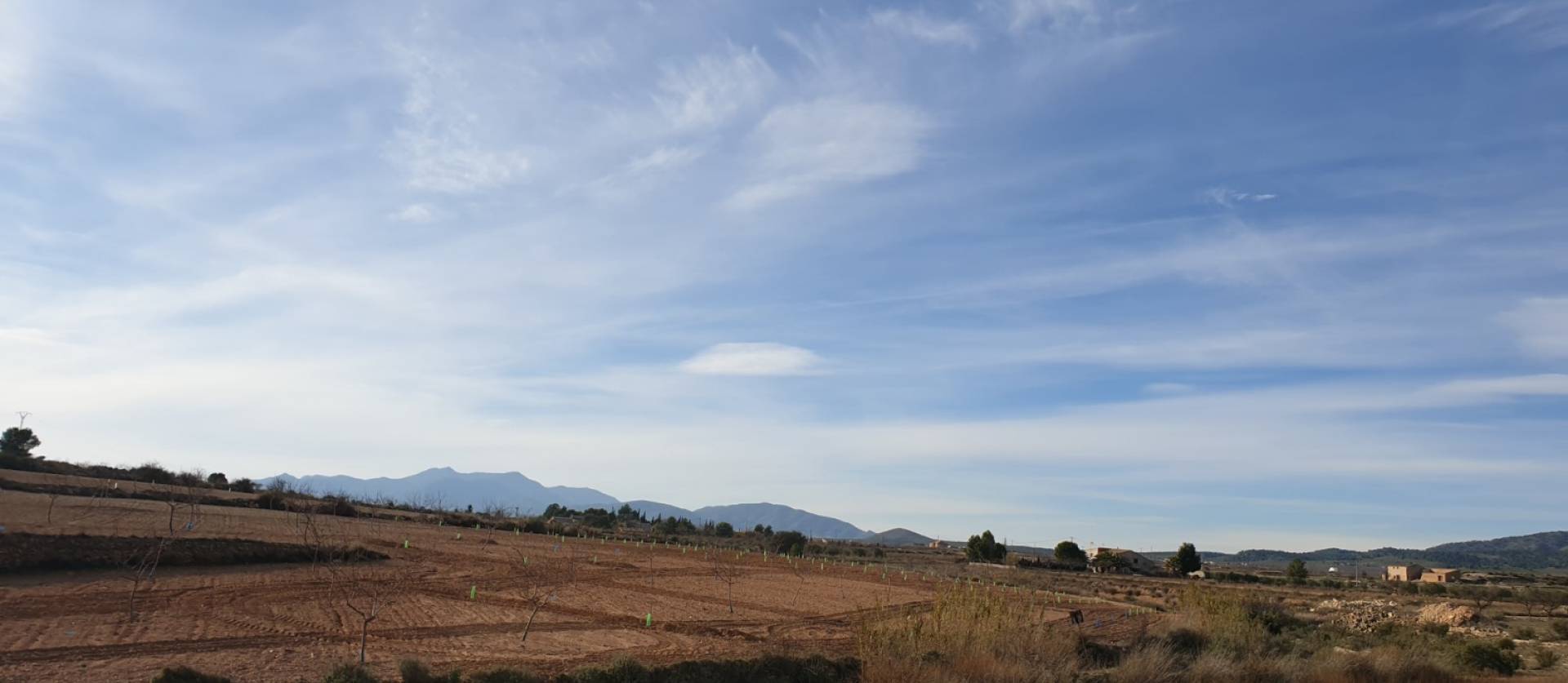 Revente - Land - Pinoso