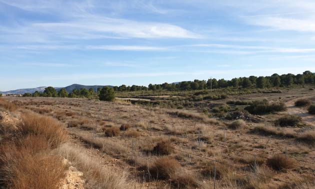 Revente - Land - Pinoso
