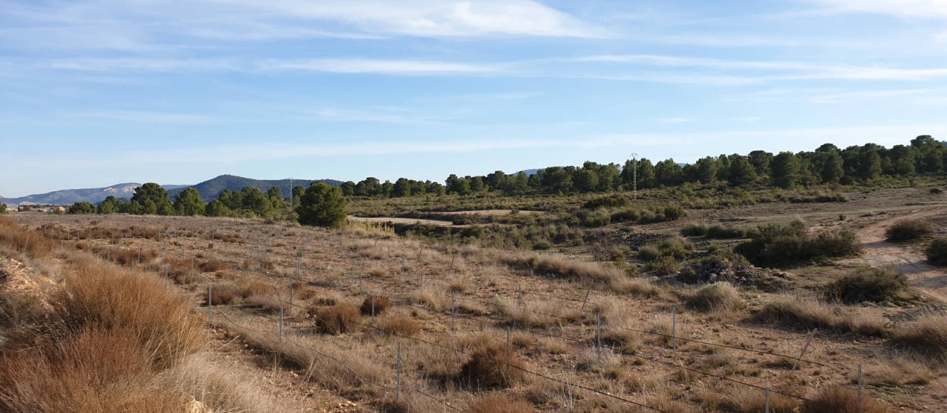 Revente - Land - Pinoso