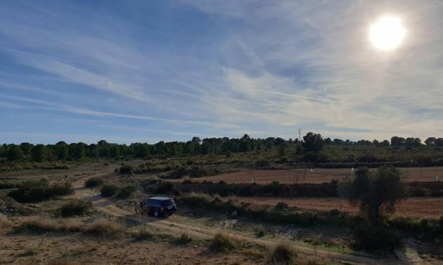 Revente - Land - Pinoso