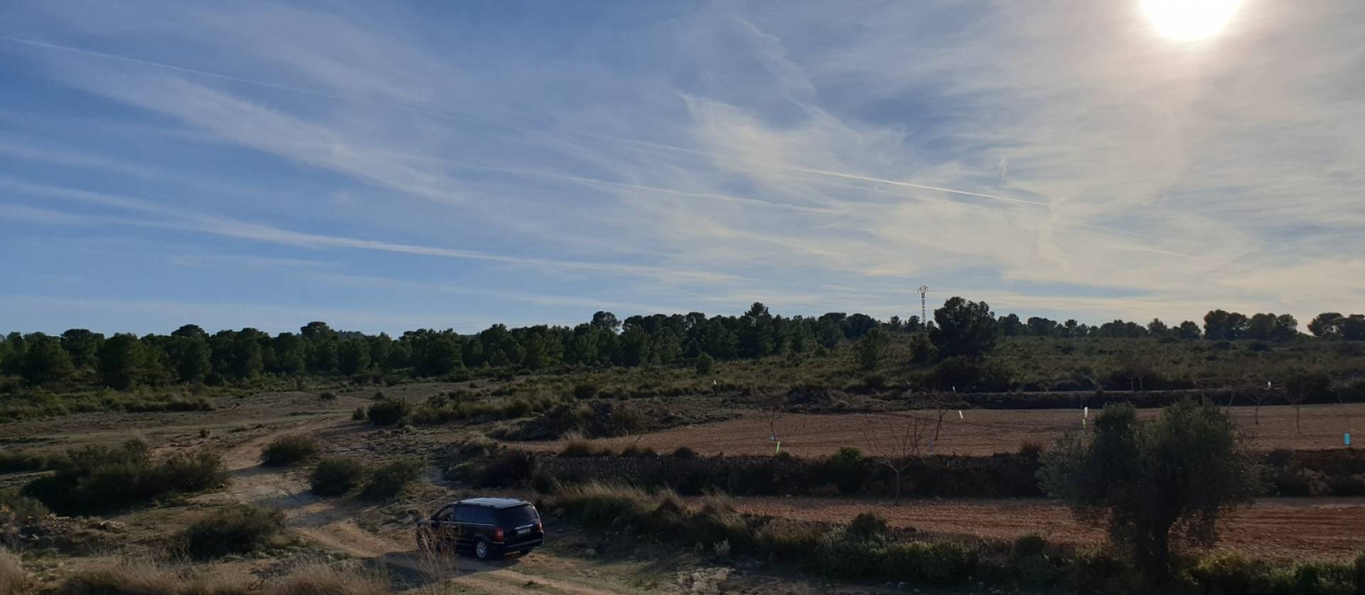 Revente - Land - Pinoso