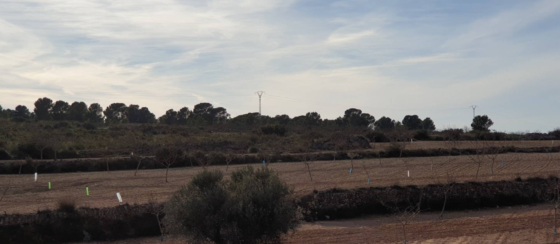 Revente - Land - Pinoso