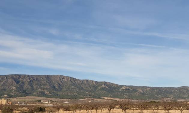 Revente - Land - Pinoso